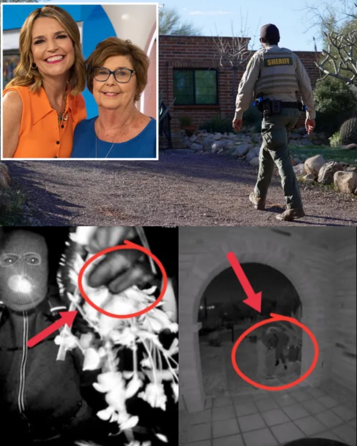 From the newly released image of the suspect outside Nancy’s house: What is the suspect trying to hide under the tree?