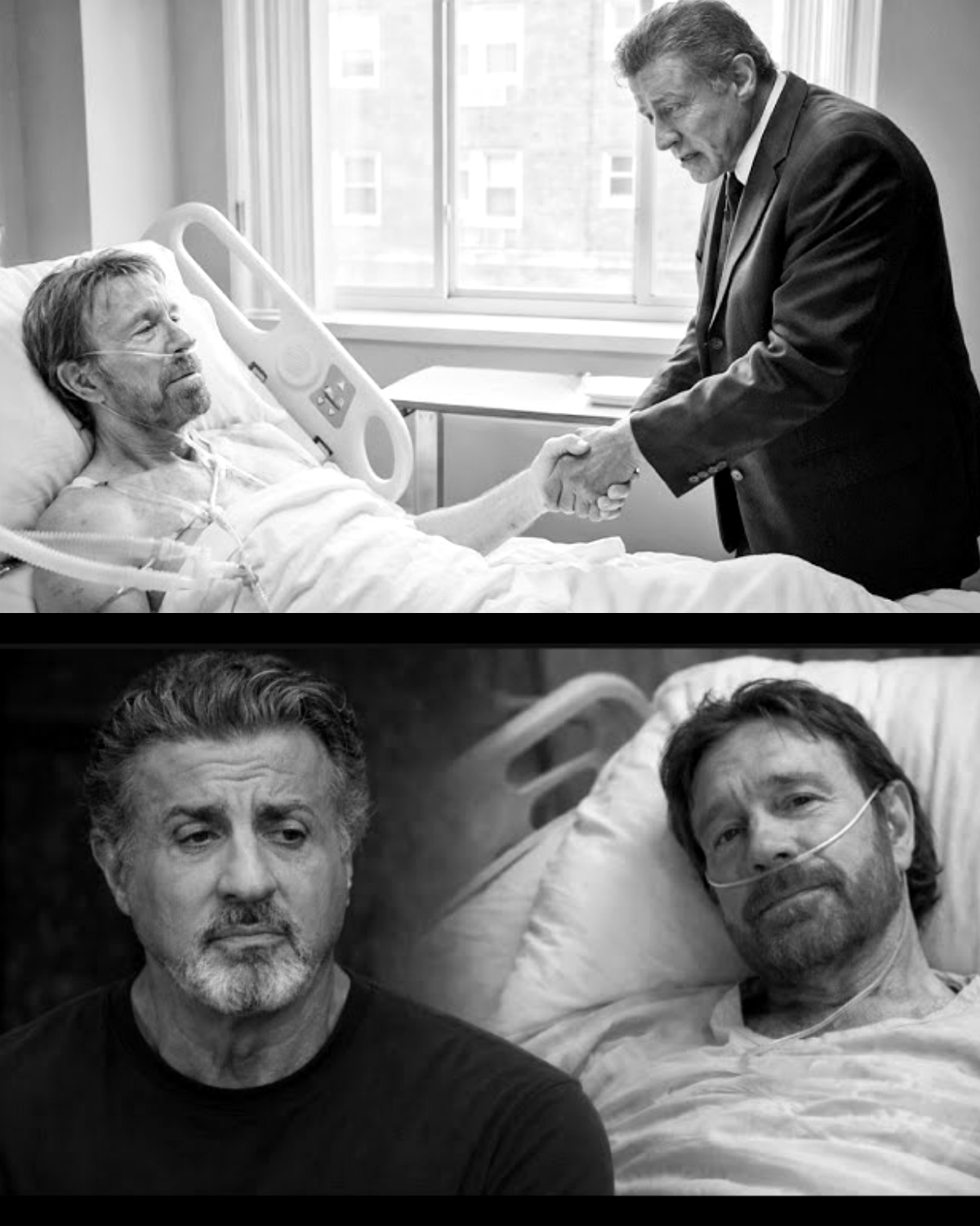 BREAKING NEWS – Sylvester Stallone Finally Reveals Chuck Norris’s Dying Words